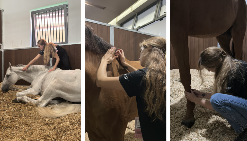 正如我们在, Bfb, 在她看来 正如我们在, Bfb, 在她看来